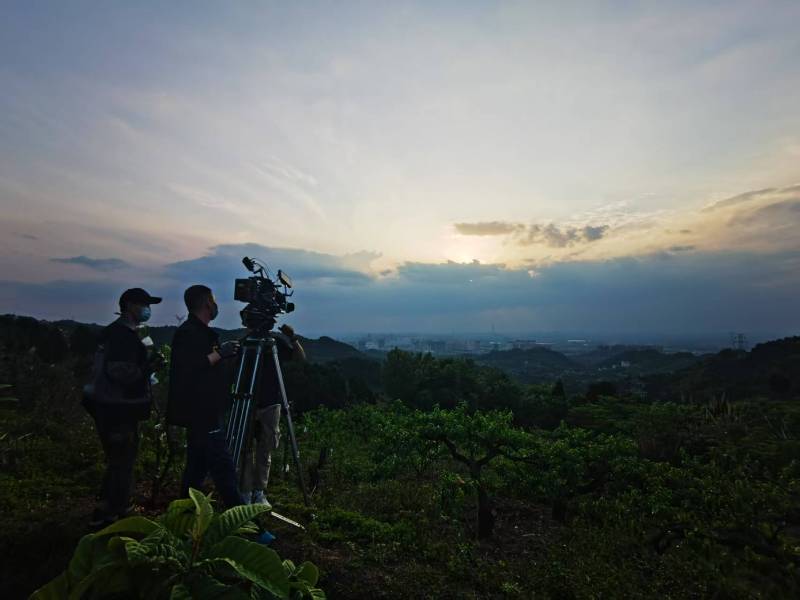 聚焦潼关县产品宣传视频拍摄公司，用专业实力铸就品牌传播传奇